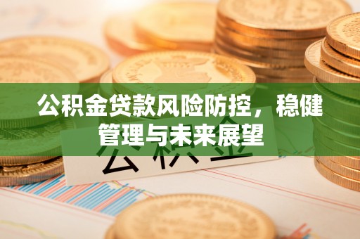 茶山公积金贷款风险防控，稳健管理与未来展望