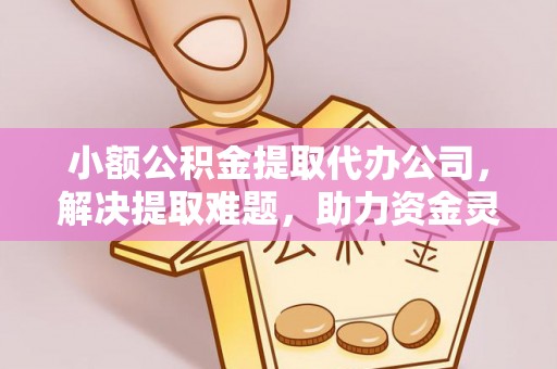 茶山小额公积金提取代办公司，解决提取难题，助力资金灵活使用