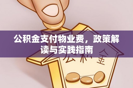 茶山公积金支付物业费，政策解读与实践指南