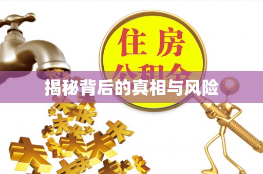 茶山揭秘背后的真相与风险