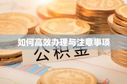 茶山如何高效办理与注意事项