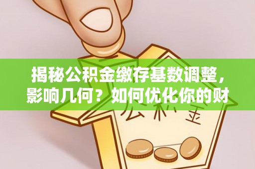 茶山揭秘公积金缴存基数调整，影响几何？如何优化你的财务规划？