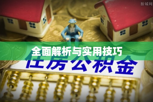茶山全面解析与实用技巧