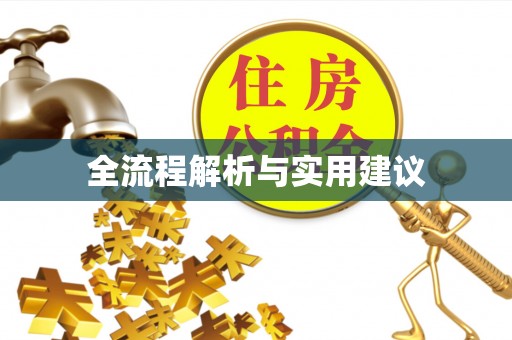 茶山全流程解析与实用建议