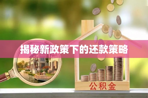 茶山揭秘新政策下的还款策略
