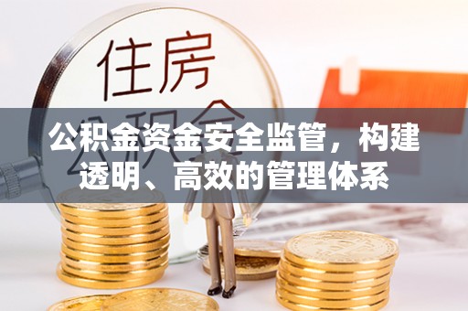 茶山公积金资金安全监管，构建透明、高效的管理体系
