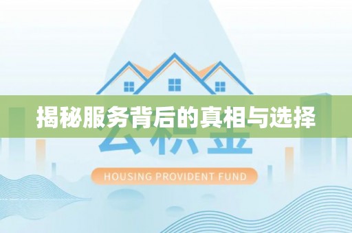 茶山揭秘服务背后的真相与选择