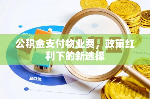 茶山公积金支付物业费，政策红利下的新选择