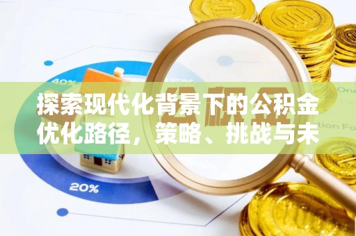 茶山探索现代化背景下的公积金优化路径，策略、挑战与未来展望