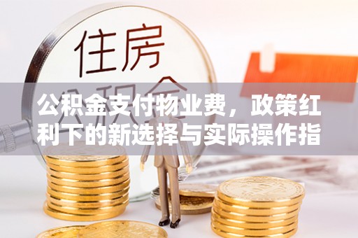 茶山公积金支付物业费，政策红利下的新选择与实际操作指南