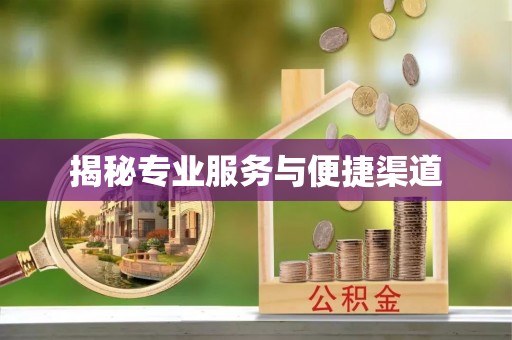 茶山揭秘专业服务与便捷渠道
