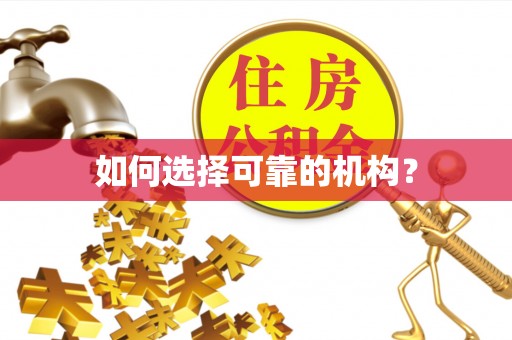 茶山如何选择可靠的机构？