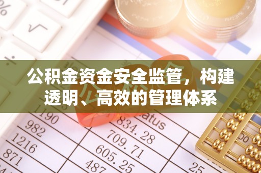 茶山公积金资金安全监管，构建透明、高效的管理体系