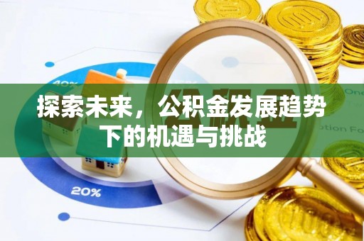 茶山探索未来，公积金发展趋势下的机遇与挑战