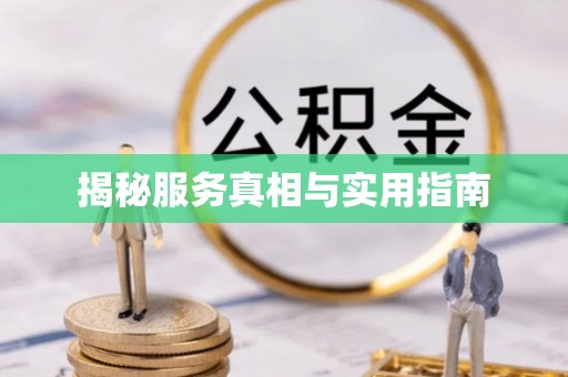 茶山揭秘服务真相与实用指南