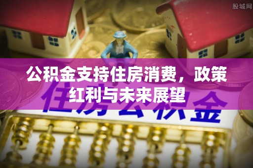 茶山公积金支持住房消费，政策红利与未来展望