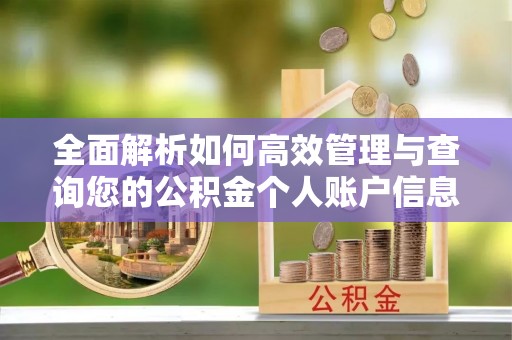 茶山全面解析如何高效管理与查询您的公积金个人账户信息