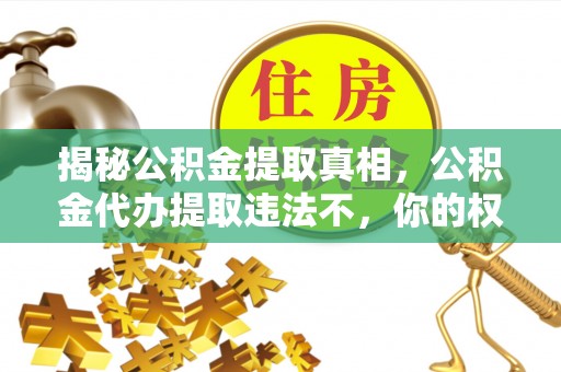 茶山揭秘公积金提取真相，公积金代办提取违法不，你的权益如何保障？