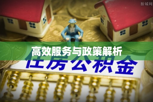 茶山高效服务与政策解析