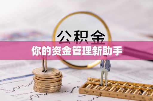 茶山你的资金管理新助手