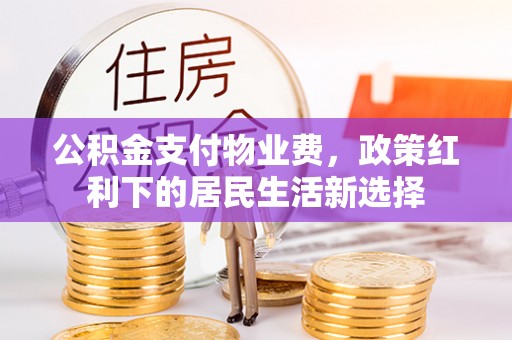 茶山公积金支付物业费，政策红利下的居民生活新选择