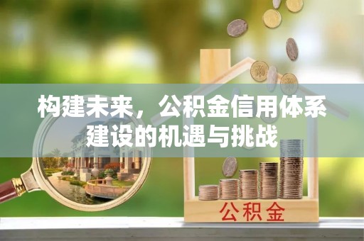 茶山构建未来，公积金信用体系建设的机遇与挑战