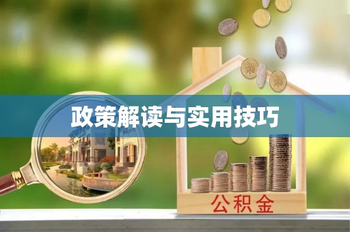 茶山政策解读与实用技巧