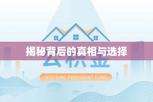 茶山揭秘背后的真相与选择