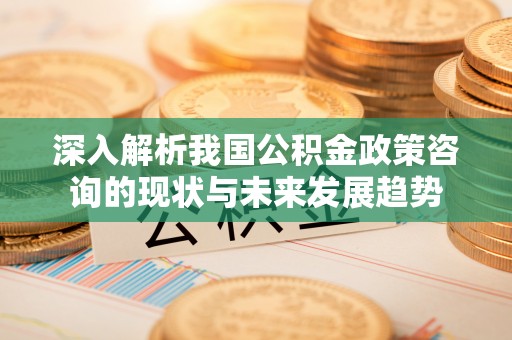 茶山深入解析我国公积金政策咨询的现状与未来发展趋势