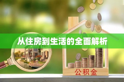 茶山从住房到生活的全面解析
