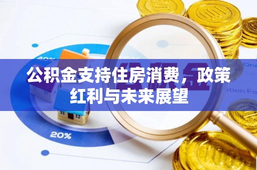 茶山公积金支持住房消费，政策红利与未来展望