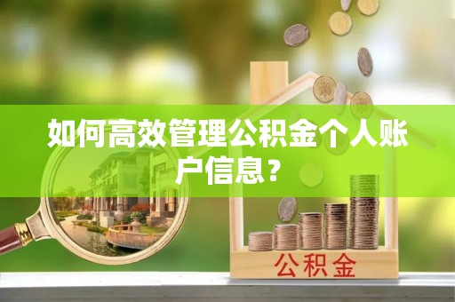 茶山如何高效管理公积金个人账户信息？
