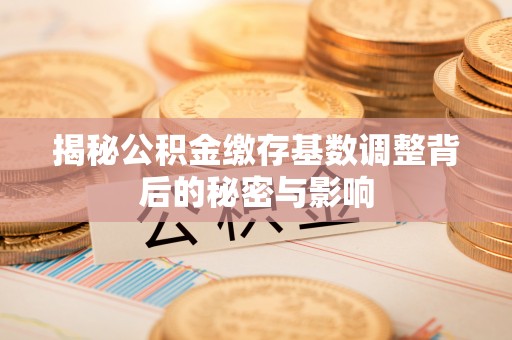 茶山揭秘公积金缴存基数调整背后的秘密与影响