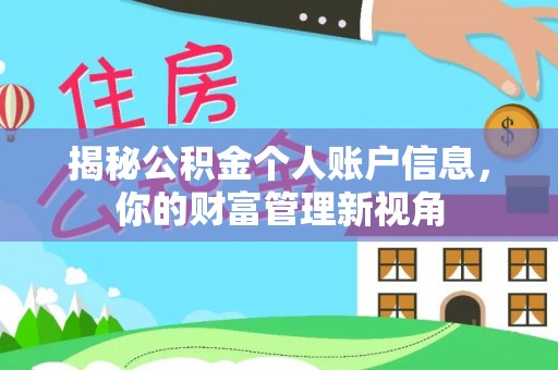 茶山揭秘公积金个人账户信息，你的财富管理新视角
