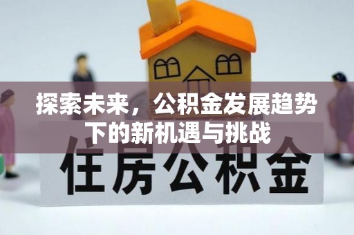 茶山探索未来，公积金发展趋势下的新机遇与挑战