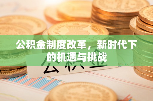 茶山公积金制度改革，新时代下的机遇与挑战