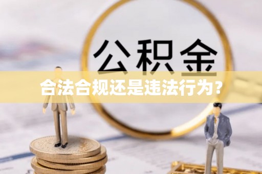 茶山合法合规还是违法行为？