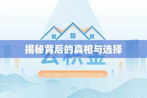 茶山揭秘背后的真相与选择