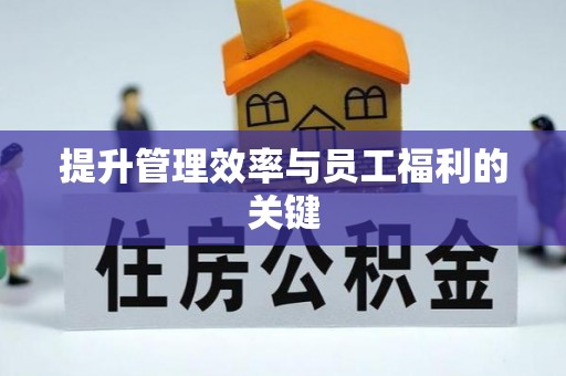 茶山提升管理效率与员工福利的关键