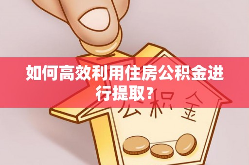 茶山如何高效利用住房公积金进行提取？