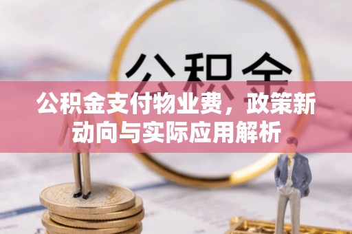 茶山公积金支付物业费，政策新动向与实际应用解析