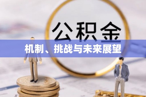 茶山机制、挑战与未来展望